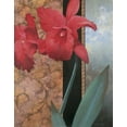 thumbnail image 2 of Unknown 12x14 White Modern Wood Framed Museum Art Print Titled - Red Orchid Teal Damasque, 2 of 4