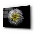thumbnail image 2 of Epic Art 'Backyard Flowers 46 Color Version' by Brian Carson, Acrylic Glass Wall Art, 24"x16", 2 of 8
