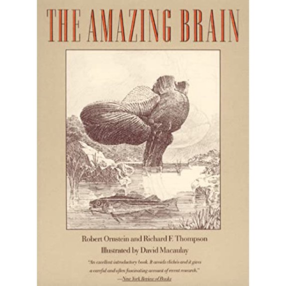 Pre-Owned Amazing Brain Pa 91, 9780395585726, 0395585724, Paperback, Reissue edition