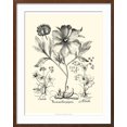 thumbnail image 2 of Art.com Black and White Besler Peony II Art Print by Besler Basilius, Brown Frame Wall Art, 23" x 29", 2 of 5