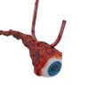 thumbnail image 3 of Globo ocular arrancado Cgtredaw Halloween Prop Realista, 3 of 9