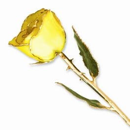 Lacquer Dipped 24k Gold Trim Rainbow Rose Lacquer Dipped 24k Gold Trim Rainbow Rose