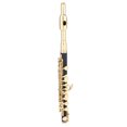 thumbnail image 1 of C Key Piccolo: Diseño Exquisito, Sonido, Fácil Mantenimiento, Caja Protectora Acolchada, Correa Ajustable, Cuerpo De ABS Y Cabeza De Cuproníquel Chapada, 1 of 7