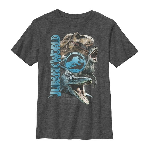 Boy's Jurassic World: Fallen Kingdom Dinosaur Montage Graphic Tee Charcoal Heather X Large