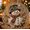 Pearl Diamond Art Set-C-A1, variant on Christmas Pearl Diamond Art Hanging Ornament Kit , Flocked Canvas with Scratch-Resistant Non-Fading Pearl Beads, portable canvas bead craft kit for interior display C