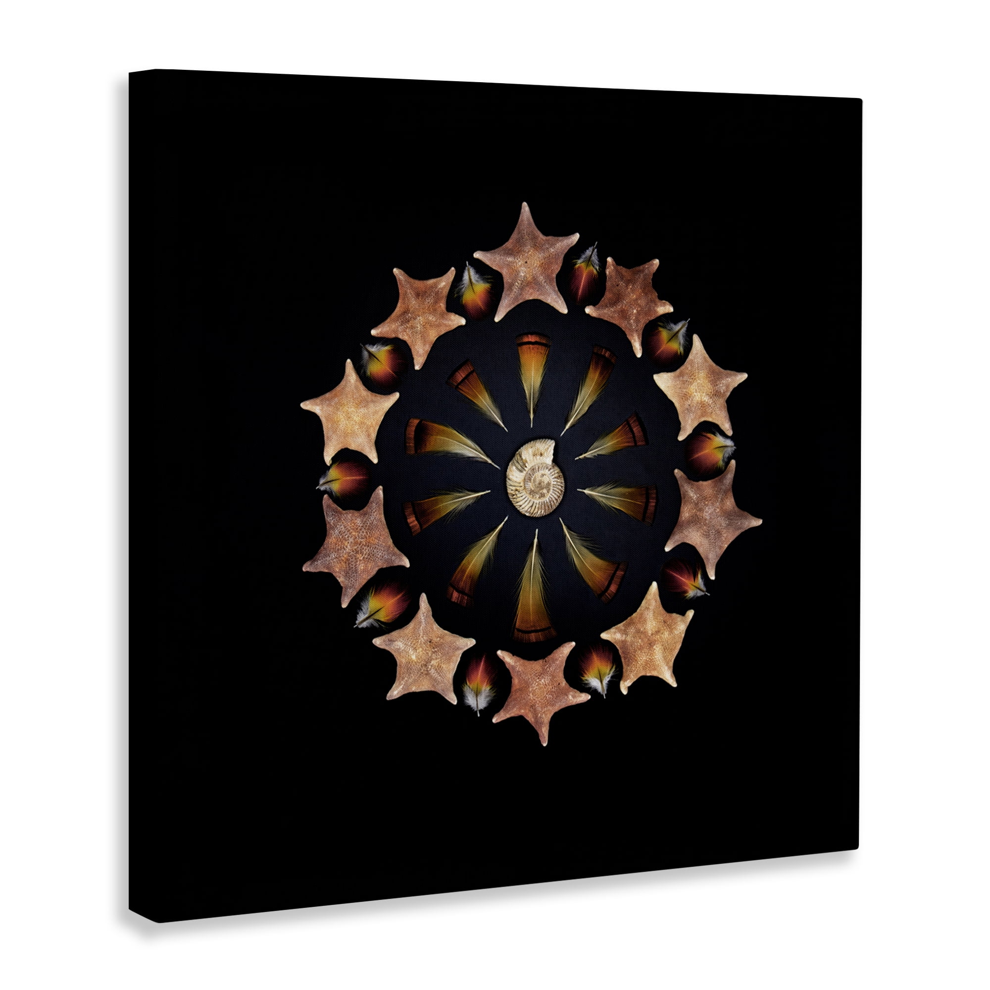 Stupell Industries Nautical Nature Arrangement Canvas Wall Art, design by Beth Adoette
