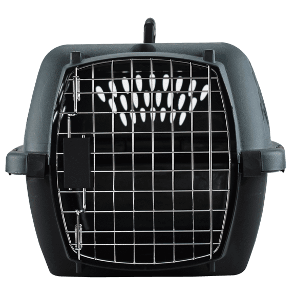Transportadora Petmate Mod. Pet taxi Mediana plástico resistente