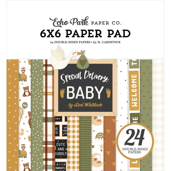 Echo Park Double-Sided Paper Pad 6"X6" 24/Pkg-Special Delivery Baby