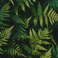 thumbnail image 6 of PIKWEEK Round Tablecloth Palm Leaves Washable for Home Kitchen Outdoor Decoration White, 6 of 8