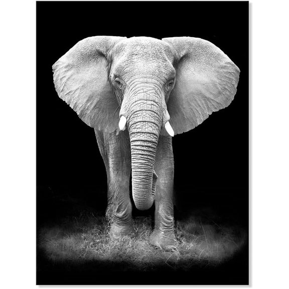 Aaheei Modern Black And White Animals Picture Prints Elephant Portrait Wildlife Nature Photography Artwork for Bedroom Living Room Farmhouse Ofiice Décor