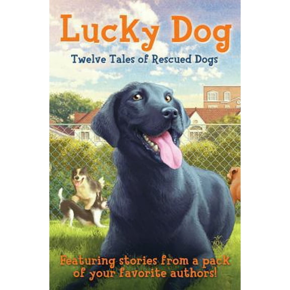 Pre-Owned Lucky Dog: Twelve Tales of Rescued Dogs (Hardcover) 0545554519 9780545554510