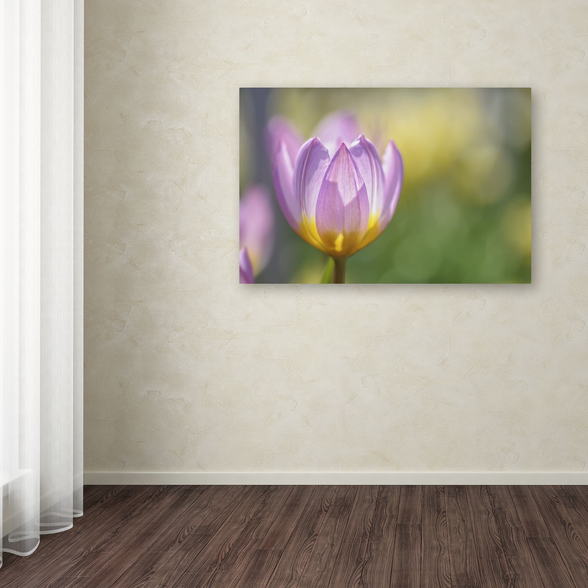 Trademark Fine Art 'Tulip ?Lilac Wonder'' Canvas Art by Cora Niele