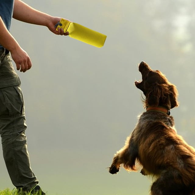 Dog Bite Tug Toy Durable Interactive Play Tug of War Games para la mayoría de y cachorros Training Pull Toy, Pet Supplies Playing Training , Amarillo M Yinane Juguetes para morder perros