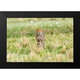 thumbnail image 2 of Lake, Shelley 14x11 Black Modern Framed Museum Art Print Titled - Cheetah, 2 of 5
