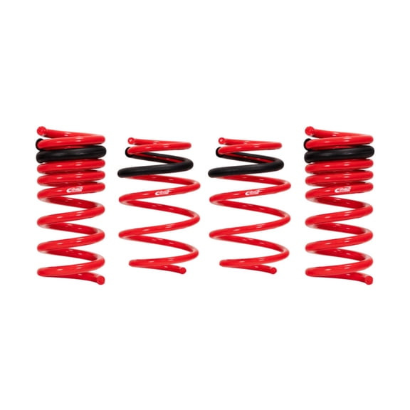 Eibach Springs