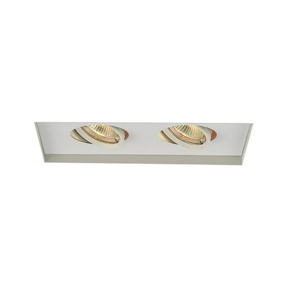 WAC Lighting 2-Light Low Voltage Multiple Aluminum Invisible Trim in White