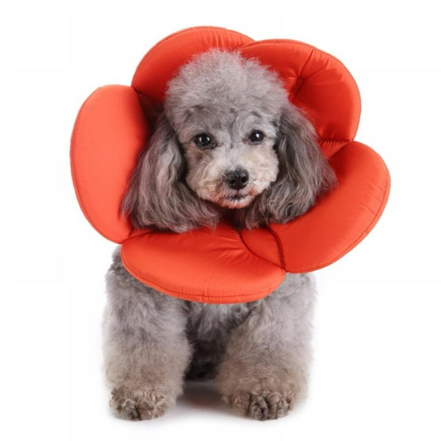 Choosebetter Collier de Récupération pour Chat Cônes en Forme de Fleur Colliers de Guérison Ajustables Doux pour Chatons Chats Chiots Lapins