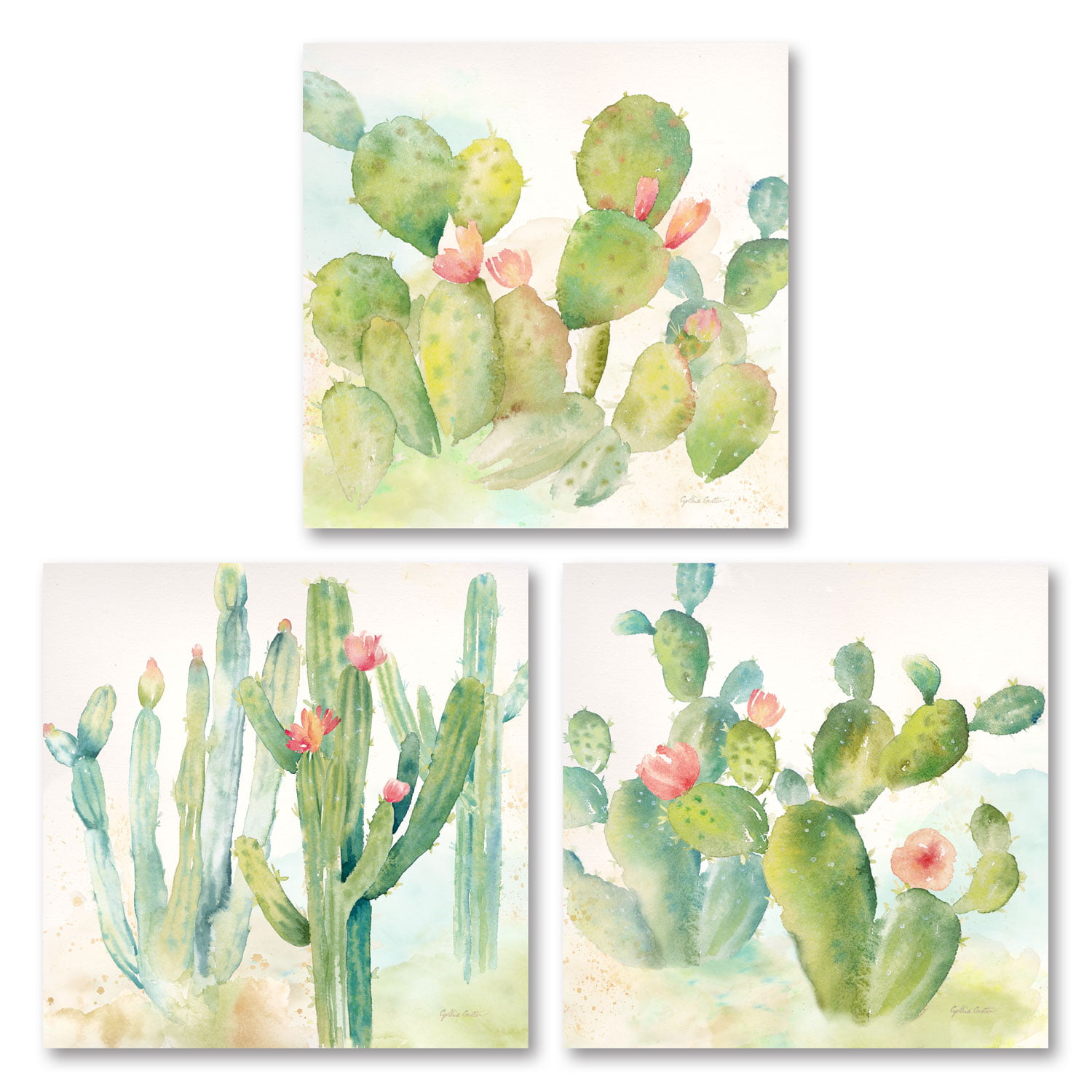 Set of 4 Cactus Prints  Fine Art Desert Prints  8 x 10 in