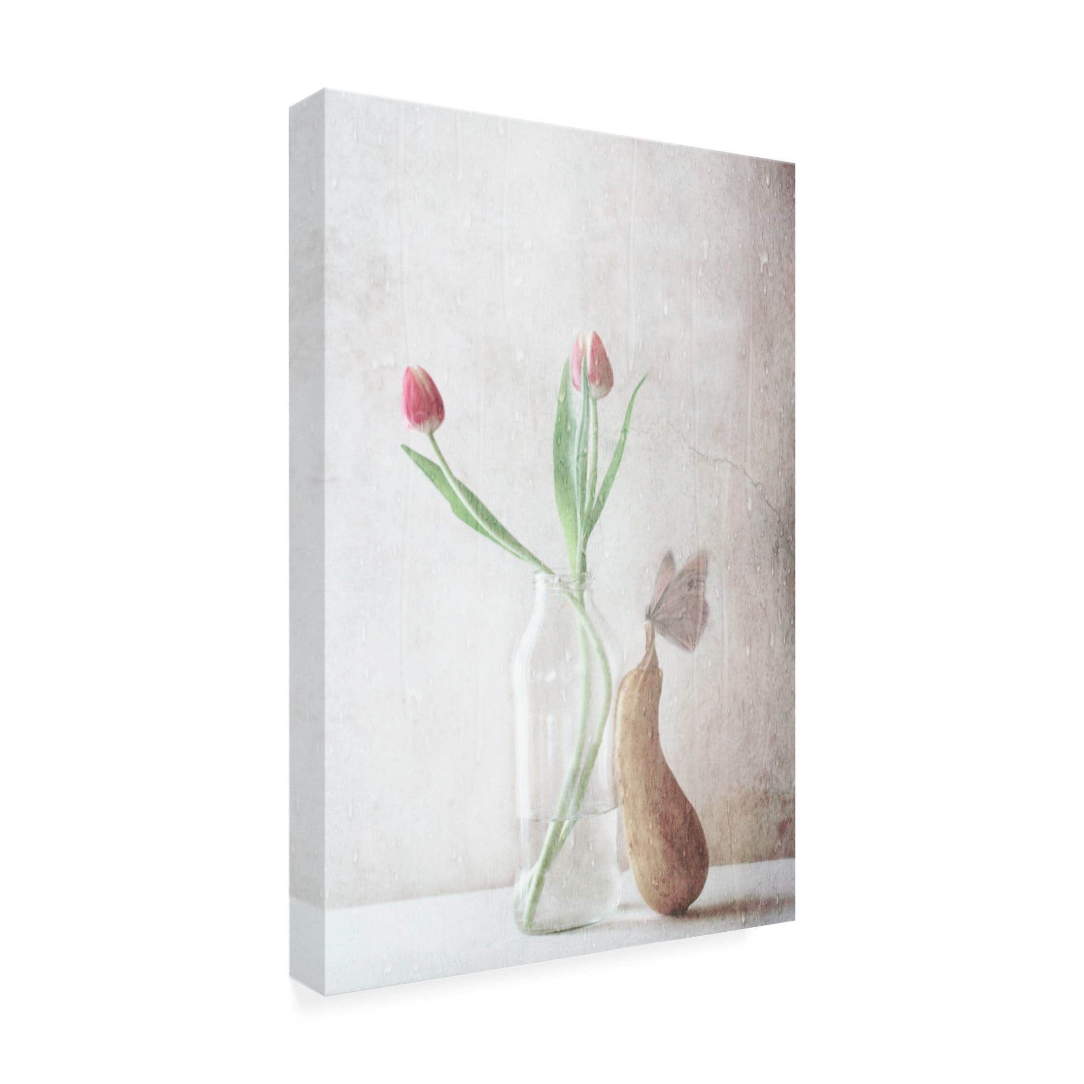 Canvas Wall Art - Delphine Devos 'The Pitter Patter Of The Rain' Wall Art for Living Room, Bedroom, or Office Décor by Trademark Fine Art - 22 x 32 Inches