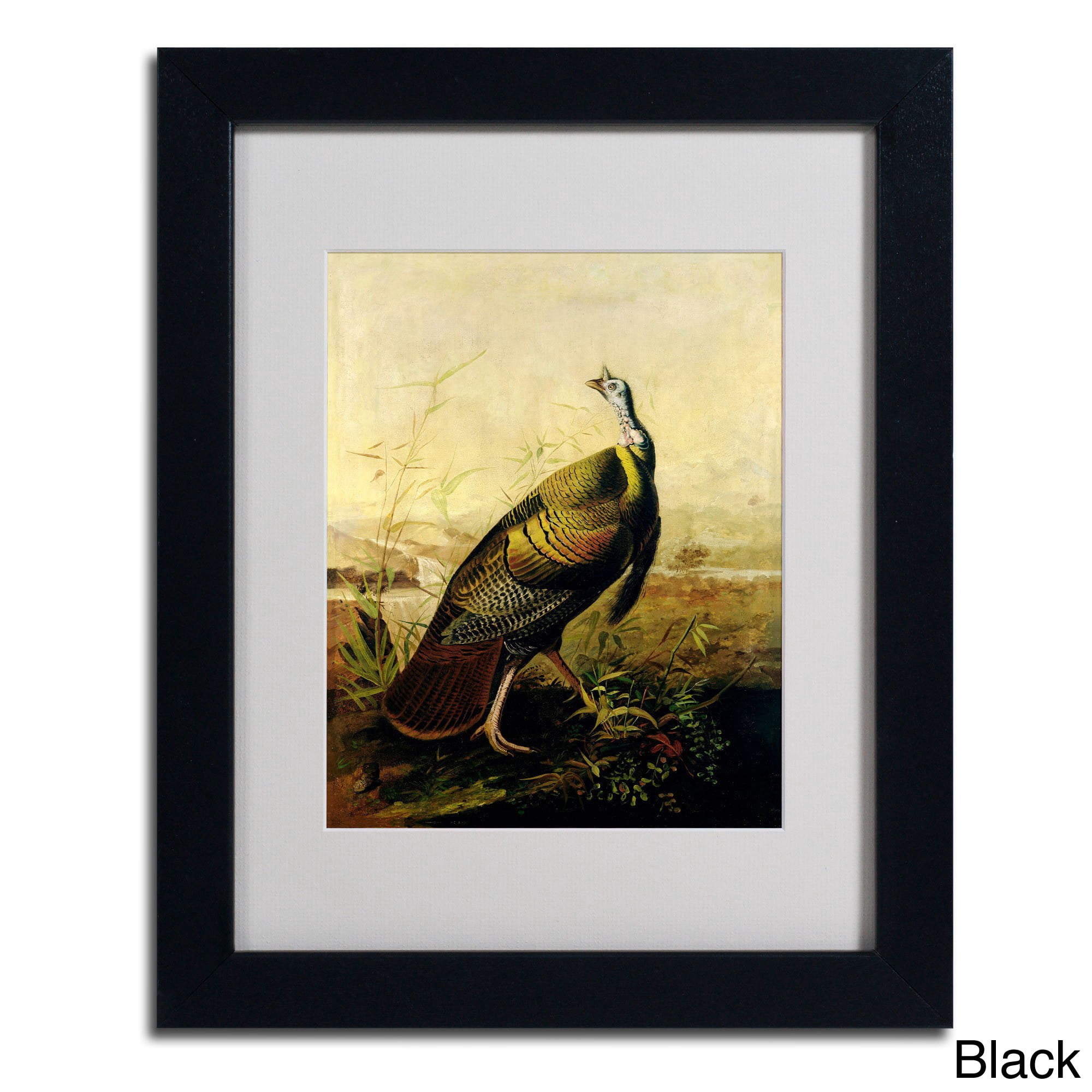 Trademark Fine Art "American Wild Turkey Cock" Canvas Art by John James Audubon, Wood Frame