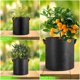 thumbnail image 1 of NUOLUX 12Ud Bolsas Para Plantas En Tela No Tejida Con Plegable Y Asas Para Cultivo En Interior Y Exterior, 1 of 5