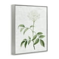 thumbnail image 4 of Stupell Industries Subtle Neutral Flower Botanical & Floral Painting Gray Framed Art Print Wall Art, 11 x 14, 4 of 10