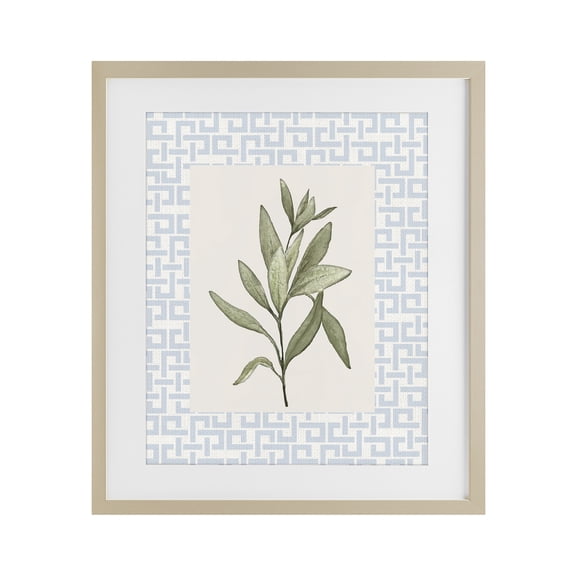 Stupell Industries Transitional Leafy Fresh Herb Birch Framed Print Under Glass, 17 x 21, by Diannart