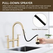 Double Handle Bridge Kitchen Faucet with Pull-Down Spray Head
