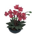 thumbnail image 2 of Toys Clearance 2023! CWCWFHZH Mini Dollhouse Miniature Green Plant Flower in Pot Garden Accessory Pretend Play Toys, 2 of 4