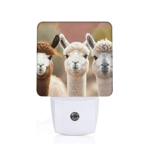 Balery Cute Alpaca in Daze Luz Nocturna LED con Sensor Automático, Enchufe con Sensor Crepuscular, Luz Suave de 0.5W para Dormitorio, Pasillo, Baño-EU