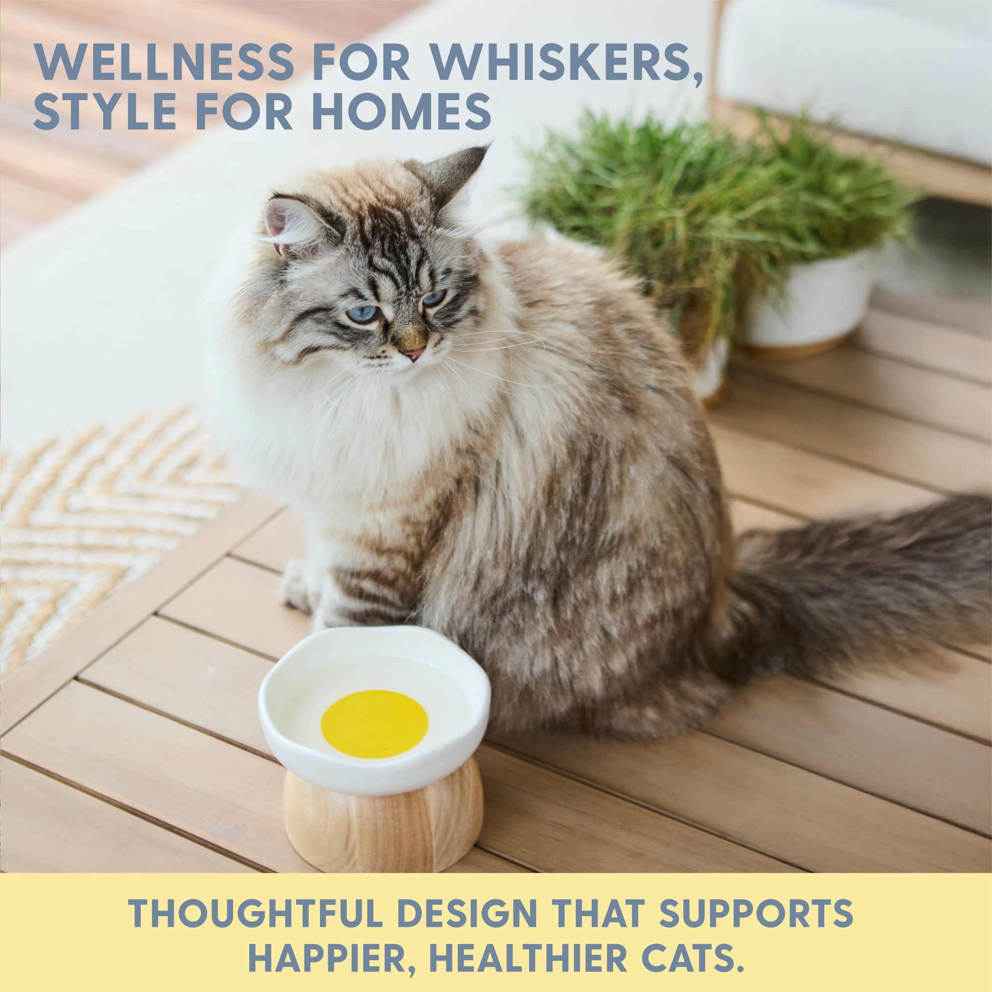 The Cat Ladies Egg Cat Food Bowl - Cute Cats Bowl - Elevated Ceramic Food Bowls - Ceramic Raised Food Bowl