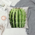 thumbnail image 2 of COMIO Hopyeer Rustic Mexican Desert Cactus Plant Throw Pillow Covers Green Pot&nbsp;Bonsai Realistic Pillow Case Square Home Sofa Couch Chair Pillow Cushion Case Cover, 2 of 5