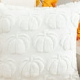 thumbnail image 6 of Fall Pillow Covers 18x18 Set of 2 Fall Decorations Thanksgiving Autumn Pumpkin Throw Pillow Cases Soft Plush Faux Fur Wool Couch Cushion Case for Chair Sofa Bedroom Living Room Home Decor, 6 of 6