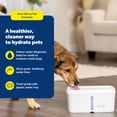 thumbnail image 3 of PetSafe Viva Pet Fountain for Pets, 140 oz, Ultra Quiet Pump, Dishwasher Safe, 3 of 9
