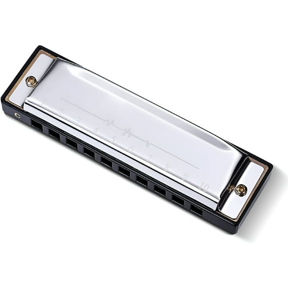 ACDANC Harmonica 10 Holes Mouth Organ, Key of C for Beginner, Adults, Kids Gift (silver)