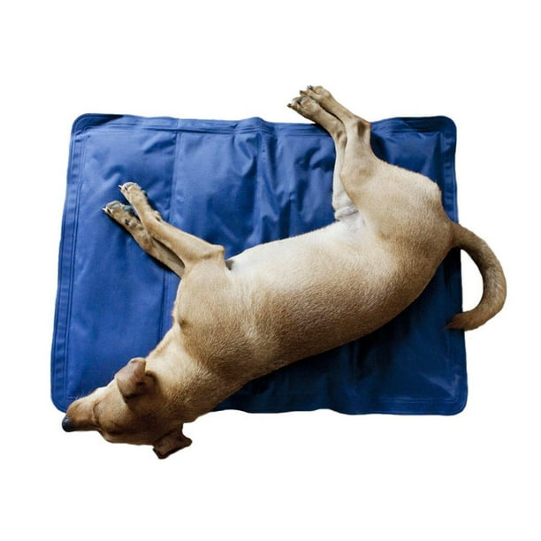 Dog cooling system hot sale