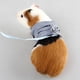 thumbnail image 4 of Perro con correa Chaleco pa correa pecho Colco Azul S, 4 of 8