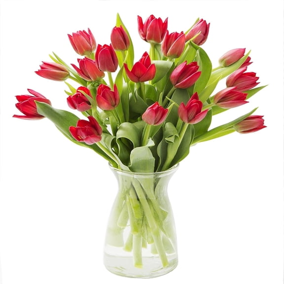 KaBloom : 20 Red Tulips, 6 Greens in a Vase, Next-Day Delivery, Gift for Every Occasion.