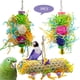 thumbnail image 1 of Juguetes para Loros NQ 2 Juguetes de Masticar Accesorios para Jaulas Bolas de Ratán Cepillado, 1 of 5