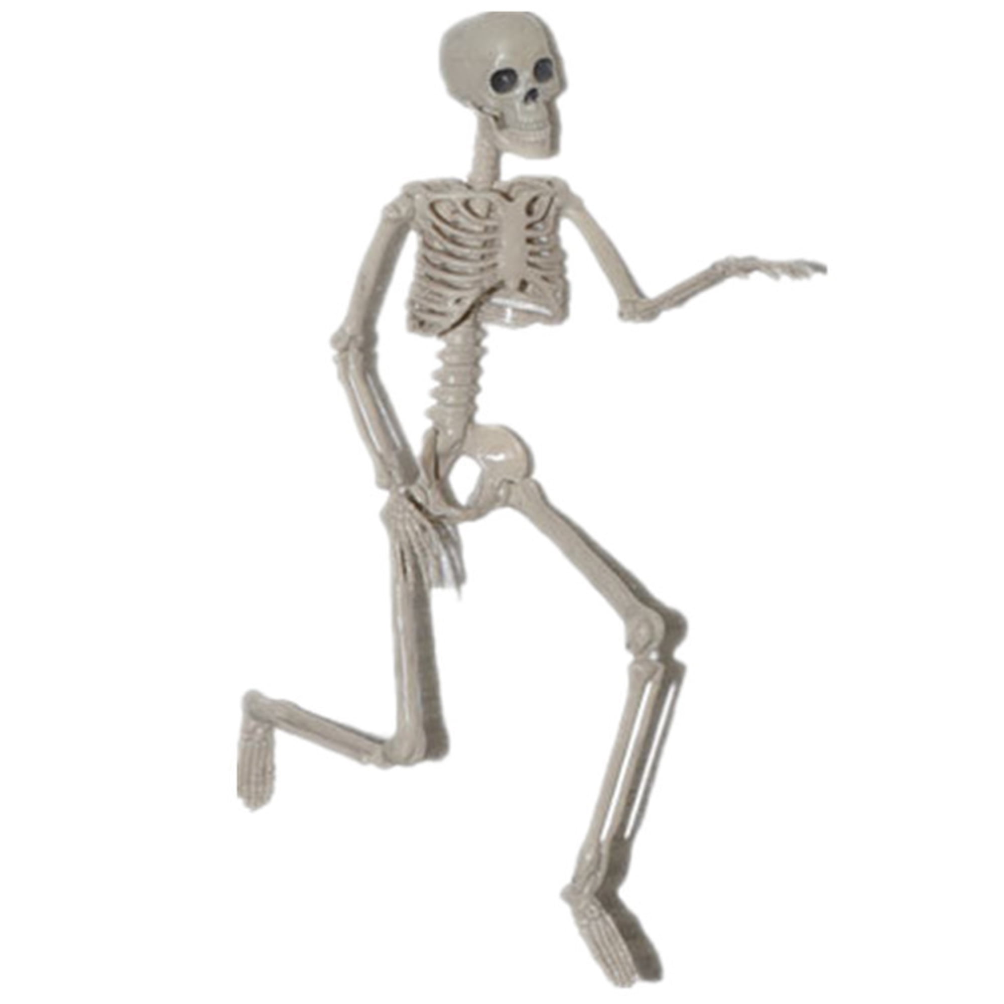 wybzd 40cm Halloween Skeleton Full Body Halloween Skeleton with Movable