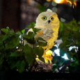 thumbnail image 2 of 1PC Garden Solar Light Outdoor Decor, Resin Owl Solar LED Light with Stake, Animal Waterproof Light 26-27s, 2 of 4
