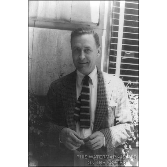 24"x36" Gallery Poster, F. Scott Fitzgerald