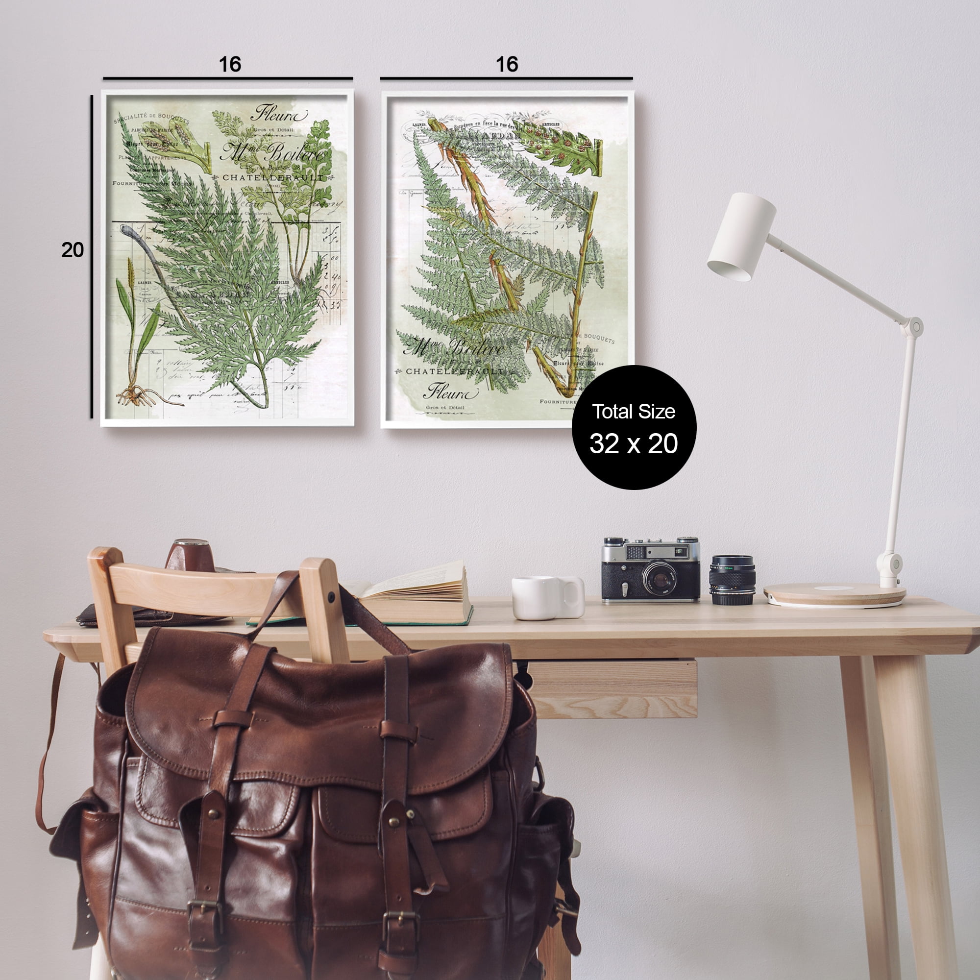 Stupell Woodland Fern Botanical Latin Study Botanical & Floral Painting White Framed Art Print Wall Art, Set of 2