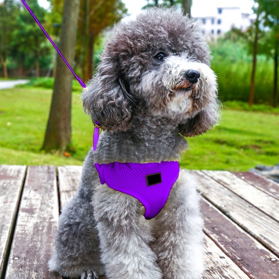 GOFLIC Dog Harness with Leash Mesh Breathable Vest for Small Medium Dogs, No Pull Adjustable Reflective Pet Harness for Walking Training Running Travel Outdoor