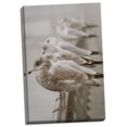 thumbnail image 1 of Gango Home Decor Seagull Paradise I by Vitaly Geyman (Ready to Hang); One 24x36in Hand-Stretched Canvas, 1 of 4