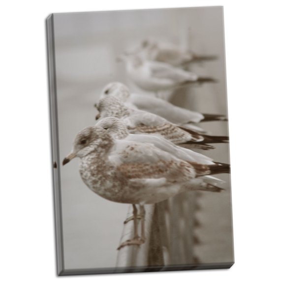 Gango Home Decor Seagull Paradise I by Vitaly Geyman (Ready to Hang); One 24x36in Hand-Stretched Canvas