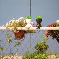thumbnail image 3 of Suculentas falsas, plantas suculentas artificiales, regalo de mordaza de suculentas, suculentas artificiales con lindas macetas con forma humana, plantas falsas de interior para el hogar y, 3 of 5