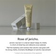 thumbnail image 4 of ABIB Jericho Rose Creme Nutrition Tube 75ml, 4 of 8