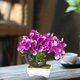 thumbnail image 5 of Decoración del hogar, decoración de habitaciones, decoración de paredes, ramo de flores de simulación, arreglo floral para mesa de sala de estar, decoración de flores, jarrón de plástico en maceta, pl, 5 of 6