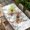 White, variant on Bunny Easter Table Cloths for 5 Foot Rectangle Tables, Spring Floral Eucalyptus Leaves Eggs Weeping Patio Waterproof Elastic Fitted Tablecloths, Washable Rectangular Table Cover for Camping